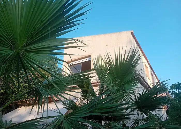 Aparment In A